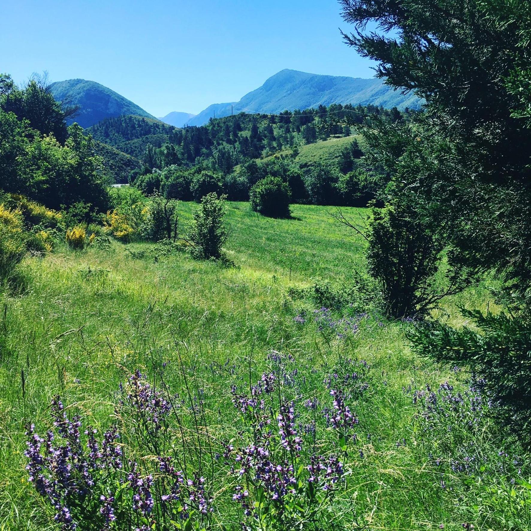 Le Moulin De La Viorne, Gite Avec Piscine Au Coeur De La Nature En Haute-Provence Les Omergues 외부 사진