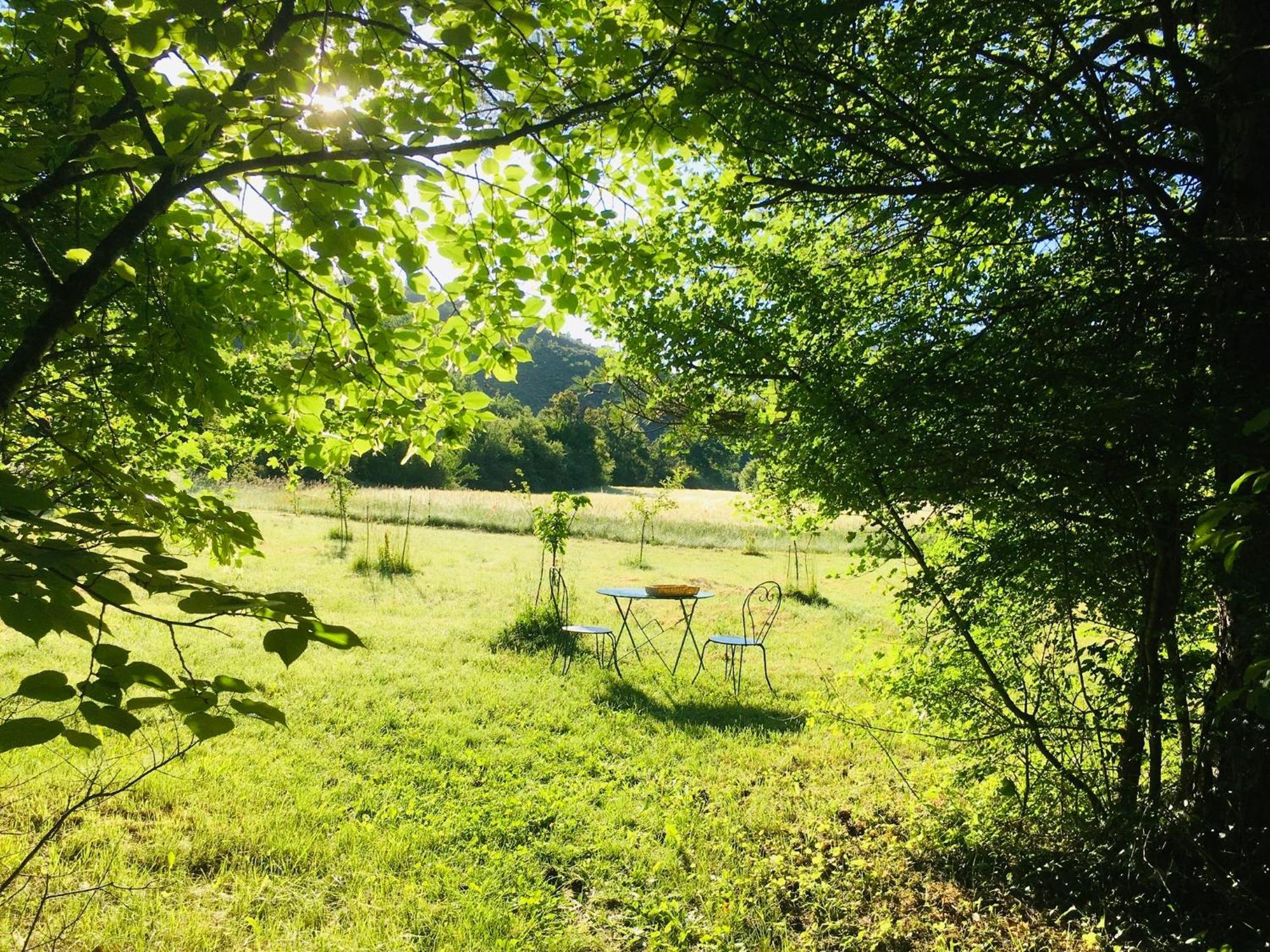 Le Moulin De La Viorne, Gite Avec Piscine Au Coeur De La Nature En Haute-Provence Les Omergues 외부 사진