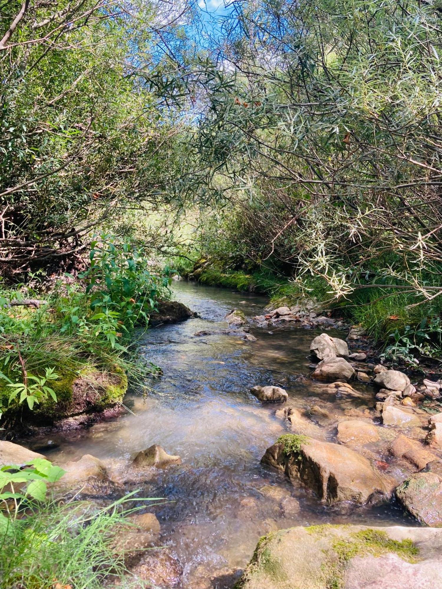 Le Moulin De La Viorne, Gite Avec Piscine Au Coeur De La Nature En Haute-Provence Les Omergues 외부 사진